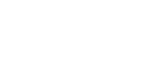 Shannon Turner Cakes